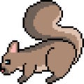 Vector pixel art wild squirrel