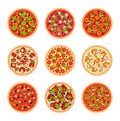 Vector pizza icons isolated on white