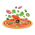 Vector pizza with pepperony, mozarella and tomato.