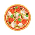 Vector pizza with pepperony, mozarella and tomato.