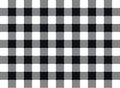 Vector plaid seamless pattern design black and white
