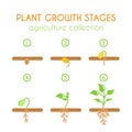 Vector plant growth stages. Planting process infographic design. Flat argiculture collection. Royalty Free Stock Photo