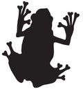 Poison Dart Frog Silhouette on White Background. Royalty Free Stock Photo