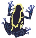 Poison Dart Frog Silhouette on White Background.