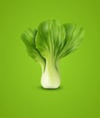 Vector Pok Choy , on green background Royalty Free Stock Photo