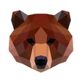 Vector polygonal bear isolated on white. Low poly bear illustration.