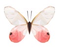 Vector polygonal colour butterfly. Triangle insect.