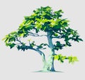 Vector Polygonal Tree Illustration