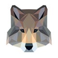 Vector polygonal wolf isolated on white. Low poly dog illustration.