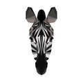 Vector polygonal zebra isolated on white.