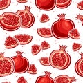 Vector Pomegranate Seamless Pattern Royalty Free Stock Photo