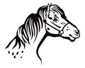 Vector pony portrait Royalty Free Stock Photo