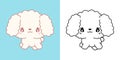 Vector Poodle Dog Multicolored and Black and White. Beautiful Clip Art Puppy.