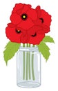 Beautiful Poppy Bouquet in Mason Glass Jar. Vector Poppy Bunch