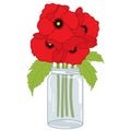 Vector Poppy Bouquet and Mason Jar. Poppy and Mason Jar Vector Illustration.