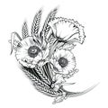 Vector poppy flower. engraving illustration