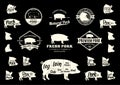 Vector Pork Logo, Icons, Charts and Design Elements