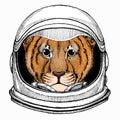 Vector portait of small baby lion head, face. Safari animal. Astronaut animal. Vector portrait. Cosmos and Spaceman