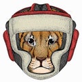 Vector portait of small baby lion head, face. Safari animal. Animal wearing boxer helmet.