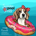 Vector portrait of beagle dog swimming in water. Donut float. Summer pool paty illustration. Sea, ocean, beach. Hand