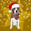 Vector portrait of beagle dog wearing santa hat and scarf. on star and sparklers bokeh. Skecthed color