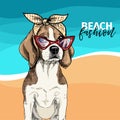 Vector portrait of beagle dog wearing sunglasses, retro bandana. Summer fashion illustration. Vacation, sea, beach Royalty Free Stock Photo