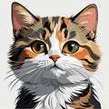 Vector portrait of a cat. Realistic simple yellow and white cat on a white background. The animal is looking straight.