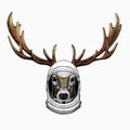 Vector portrait of deer. Woodland animal head. Astronaut animal. Vector portrait. Cosmos and Spaceman. Space