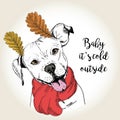 Vector portrait of dog in scarf and leaf ears. Hand drawn dog illustration. Baby it s cold outside.