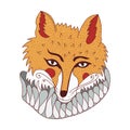 Vector portrait of fairy tail red fox in frill. Animal head on dark night background with yellow stars Royalty Free Stock Photo