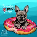 Vector portrait of French bulldog dog swimming in water. Donut float. Summer pool paty illustration. Sea, ocean, beach Royalty Free Stock Photo