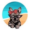 Vector portrait of French bulldog dog wearing sunglasses and retro bow. Summer fashion illustration. Vacation, sea