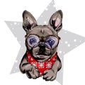 Vector portrait of French bulldog dog wearing winter bandana and glasses. Isolated on star and snow. Skecthed color