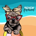 Vector portrait of French bulldog dog weas sunglasses and retro bandana. Summer fashion illustration. Sea, beach, ocean