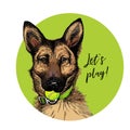 Vector portrait of german shepherd dog with tennis ball. Let s play. Green curveball. Summer cartoon illustration. Hand Royalty Free Stock Photo