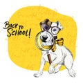 Vector portrait of Jack Russel terrier dog with magnifying glass and big nose reflection. Back to school illustration