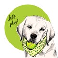 Vector portrait of Labrador retriever dog with tennis ball. Let s play. Green curveball. Summer cartoon illustration Royalty Free Stock Photo