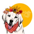 Vector portrait of Labrador retriever dog wearing autumn leaves crown. Hello fall illustration. Oak, maple, chestnut