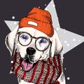 Vector portrait of labrador retriever dog wearing beanie, glasses and scarf. on star, snow. Skecthed color Royalty Free Stock Photo