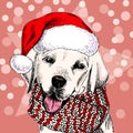 Vector portrait of labrador retriever dog wearing santa hat and scarf. Isolated on snowy trees and sparklers. Sketched Royalty Free Stock Photo