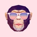 Vector portrait of monkey polygonal . Triangle illustration monkey for use print on t-shirt and poster. Geometric low