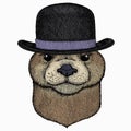 Vector portrait of otter. Head of wild animal. Bowler hat.