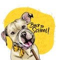 Vector portrait of pit bull terrier dog with magnifying glass and big nose reflection. Back to school illustration. Math Royalty Free Stock Photo