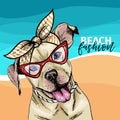 Vector portrait of pit bull terrier dog wearing sunglasses and retro bow. Summer fashion illustration. Vacation, sea Royalty Free Stock Photo