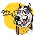 Vector portrait of Siberian Husky dog with magnifying glass and big nose reflection. Back to school illustration. Math Royalty Free Stock Photo