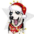 Vector portrait of Siberian Husky dog wearing santa hat Christmas lights garland. Isolated on star and snow. Skecthed