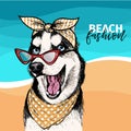 Vector portrait of Siberian husky dog wearing sunglasses and retro bandana. Summer fashion illustration. Sea, beach Royalty Free Stock Photo