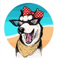 Vector portrait of Siberian husky dog wearing sunglasses and retro bow. Summer fashion illustration. Vacation, sea Royalty Free Stock Photo