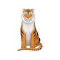 Vector portrait of sitting tiger. Wild predatory animal. Large cat with orange fur and black stripes, big claws and long