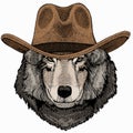 Vector portrait of wolf. Cool wild wolf. Animal head. Royalty Free Stock Photo